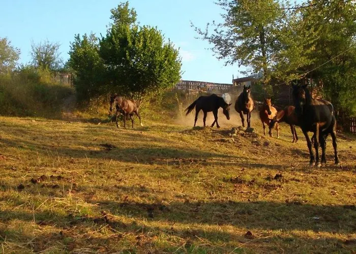 St Mariya Magdalena Девин